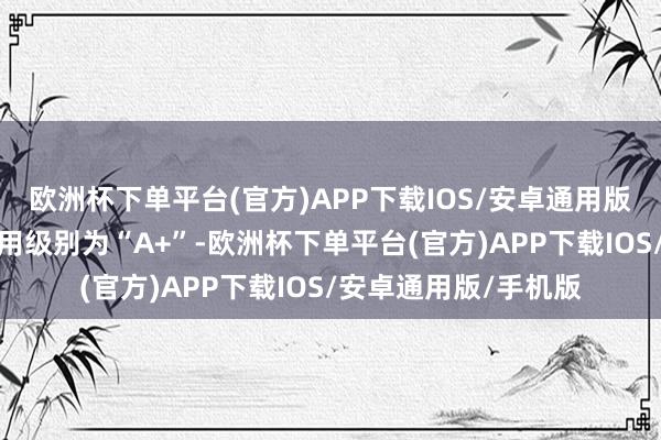 欧洲杯下单平台(官方)APP下载IOS/安卓通用版/手机版智能转债信用级别为“A+”-欧洲杯下单平台(官方)APP下载IOS/安卓通用版/手机版