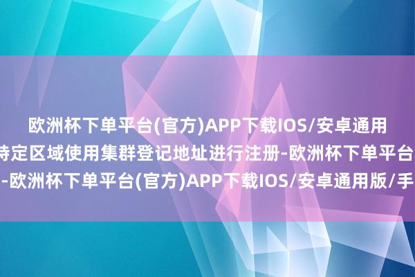 欧洲杯下单平台(官方)APP下载IOS/安卓通用版/手机版允许企业在特定区域使用集群登记地址进行注册-欧洲杯下单平台(官方)APP下载IOS/安卓通用版/手机版