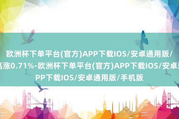 欧洲杯下单平台(官方)APP下载IOS/安卓通用版/手机版近1年高涨0.71%-欧洲杯下单平台(官方)APP下载IOS/安卓通用版/手机版