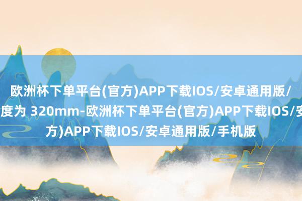 欧洲杯下单平台(官方)APP下载IOS/安卓通用版/手机版腿托最大长度为 320mm-欧洲杯下单平台(官方)APP下载IOS/安卓通用版/手机版