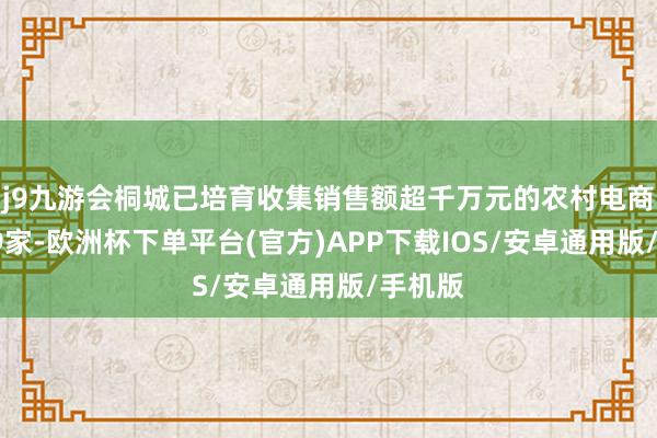 j9九游会桐城已培育收集销售额超千万元的农村电商企业19家-欧洲杯下单平台(官方)APP下载IOS/安卓通用版/手机版