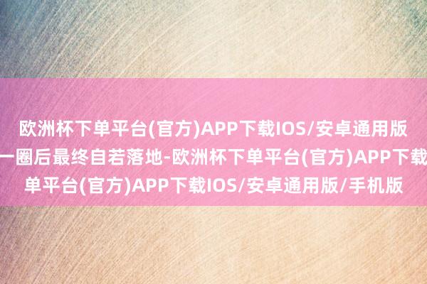 欧洲杯下单平台(官方)APP下载IOS/安卓通用版/手机版在机场上空盘旋一圈后最终自若落地-欧洲杯下单平台(官方)APP下载IOS/安卓通用版/手机版