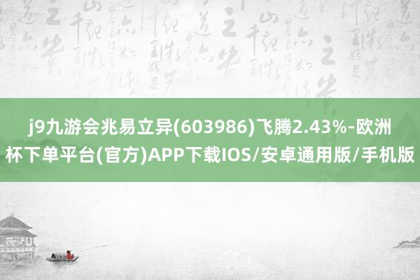 j9九游会兆易立异(603986)飞腾2.43%-欧洲杯下单平台(官方)APP下载IOS/安卓通用版/手机版