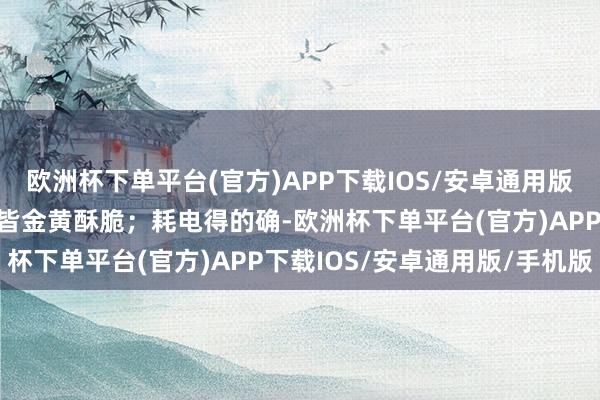 欧洲杯下单平台(官方)APP下载IOS/安卓通用版/手机版非论薯条放哪层皆金黄酥脆；耗电得的确-欧洲杯下单平台(官方)APP下载IOS/安卓通用版/手机版