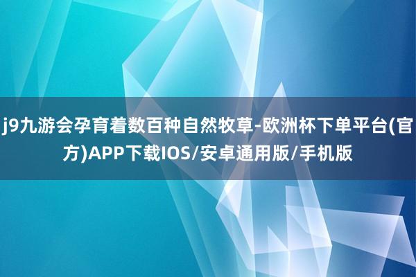 j9九游会孕育着数百种自然牧草-欧洲杯下单平台(官方)APP下载IOS/安卓通用版/手机版
