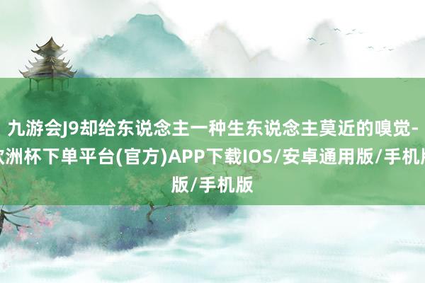 九游会J9却给东说念主一种生东说念主莫近的嗅觉-欧洲杯下单平台(官方)APP下载IOS/安卓通用版/手机版