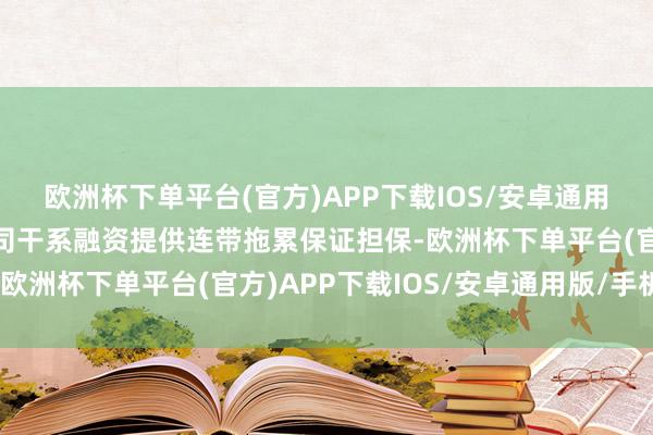 欧洲杯下单平台(官方)APP下载IOS/安卓通用版/手机版公司为子公司干系融资提供连带拖累保证担保-欧洲杯下单平台(官方)APP下载IOS/安卓通用版/手机版