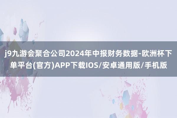 j9九游会聚合公司2024年中报财务数据-欧洲杯下单平台(官方)APP下载IOS/安卓通用版/手机版